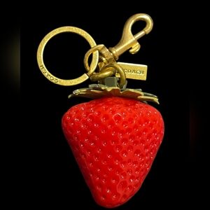Letter "C" Brass Huge Strawberry Keychain | Keyfob | Bag Charm